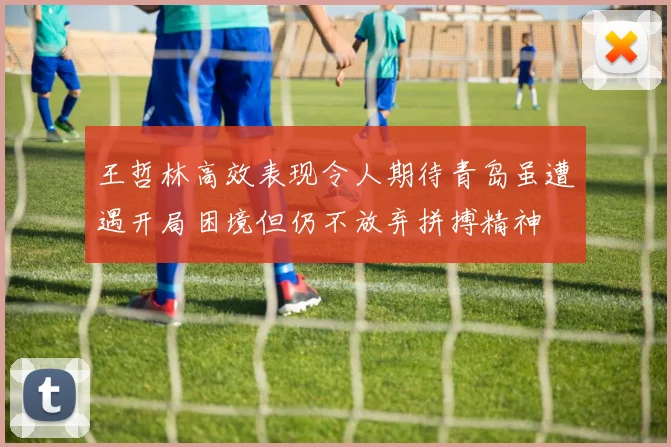 王哲林高效表现令人期待青岛虽遭遇开局困境但仍不放弃拼搏精神