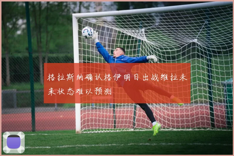 格拉斯纳确认格伊明日出战维拉未来状态难以预测