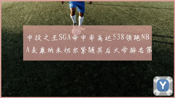 中投之王SGA命中率高达538领跑NBA麦康纳米切尔紧随其后大帝排名第七