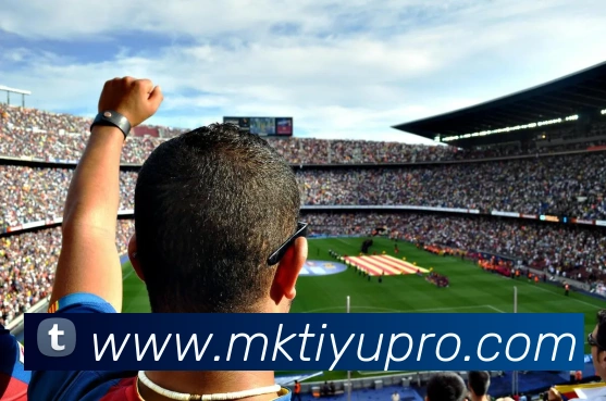 MK体育平台生态图