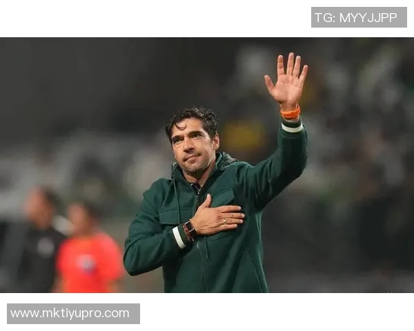 巴甲联赛历史夺冠次数统计帕尔梅拉斯领先弗拉门戈紧随其后